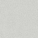 NOW OR NEVER