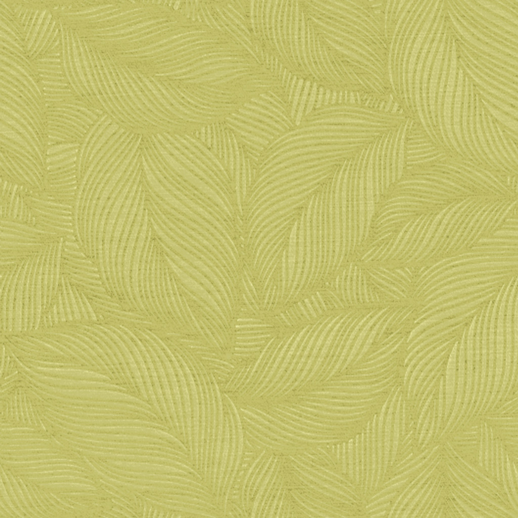 Dimout FR E3006 Collection