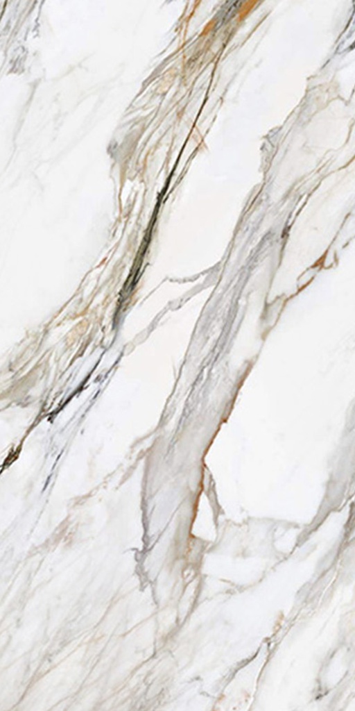 Feinsteinzeug — Calacatta Paonazzo Polished 1600 x 3200 -12mm